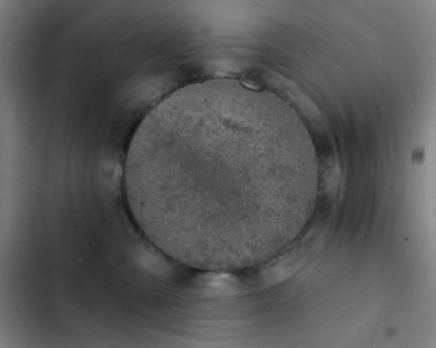 X0000103300427200808291409