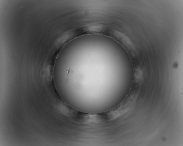 X0000103300428200808291409