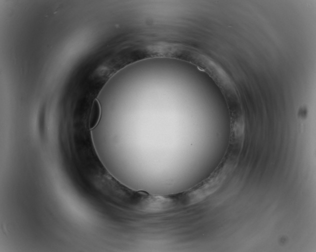 X0000103300429200808291409