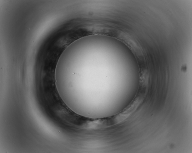 X0000103300430200808291409