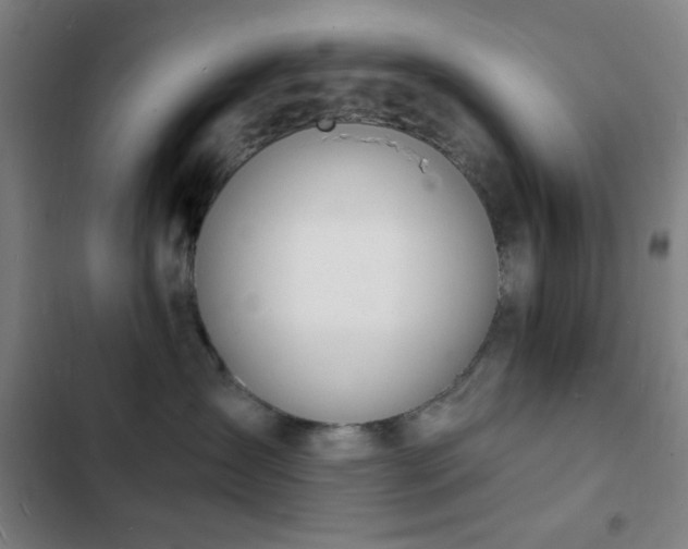 X0000103300431200808291409