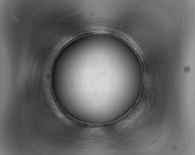 X0000103300433200808291409