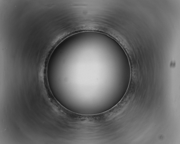 X0000103300434200808291409