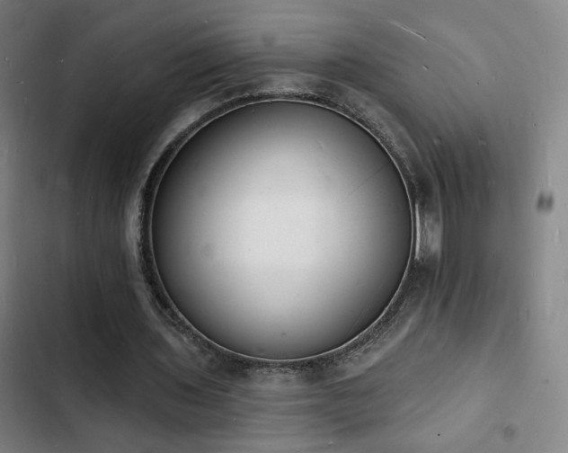 X0000103300435200808291409