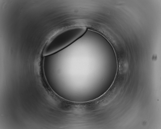 X0000103300436200808291409