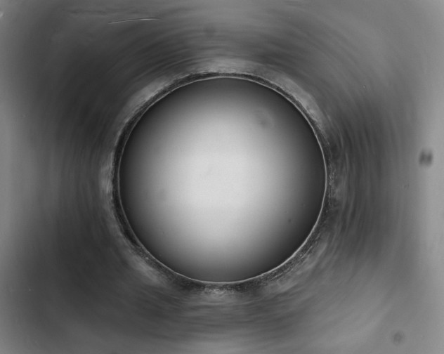 X0000103300437200808291409