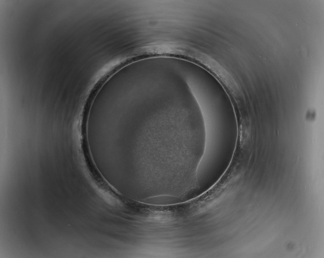 X0000103300438200808291409