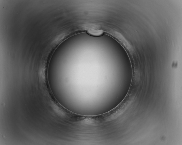 X0000103300441200808291409