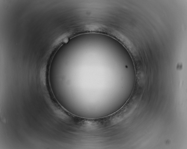 X0000103300442200808291409