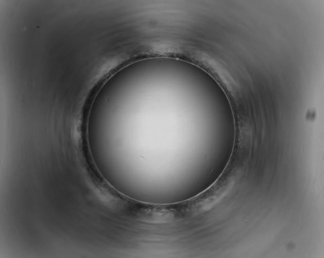 X0000103300443200808291409