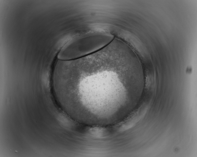 X0000103300444200808291409