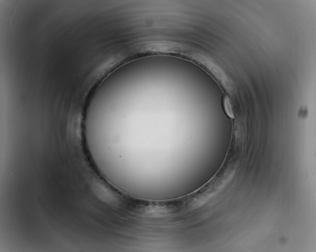 X0000103300445200808291409