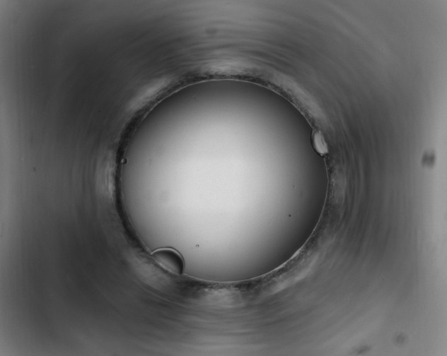 X0000103300446200808291409