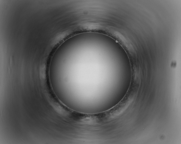 X0000103300447200808291409