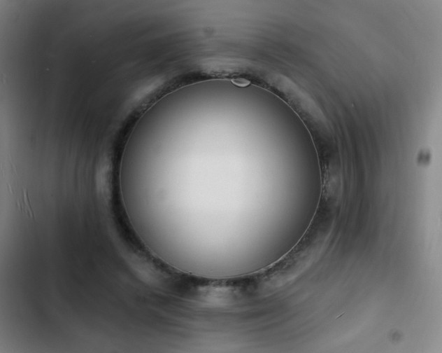 X0000103300448200808291409