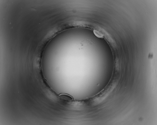 X0000103300449200808291409