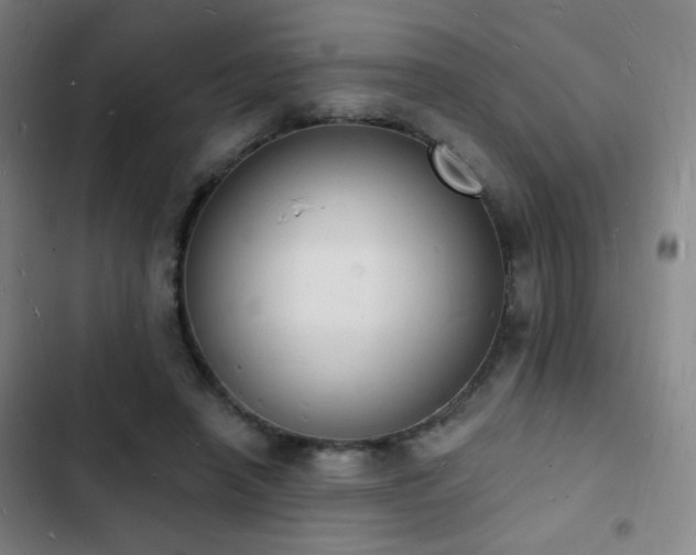 X0000103300450200808291409