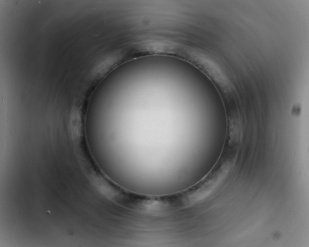 X0000103300453200808291409