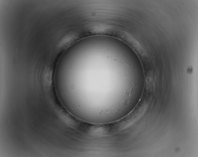 X0000103300454200808291409