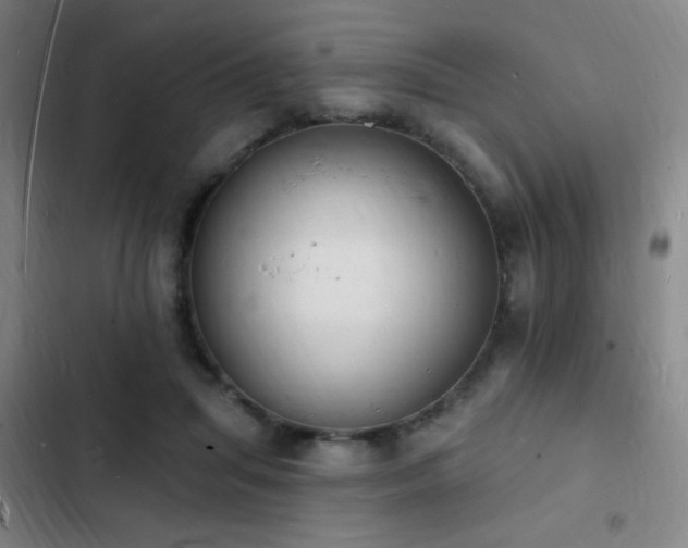X0000103300455200808291409