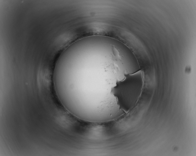 X0000103300456200808291409