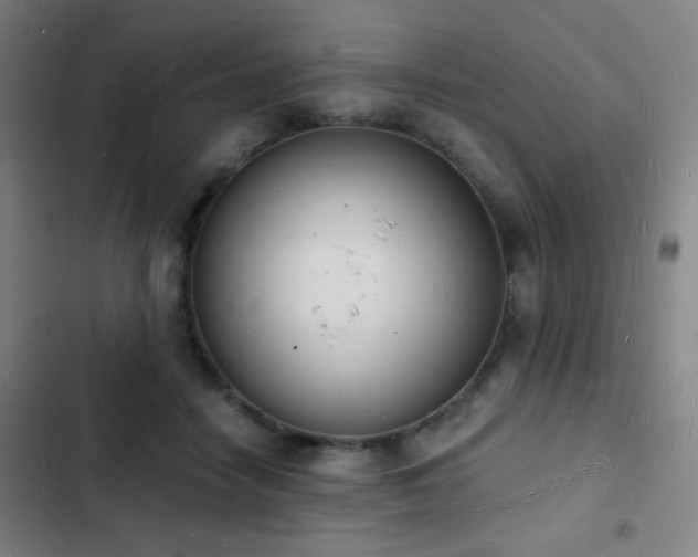 X0000103300458200808291409