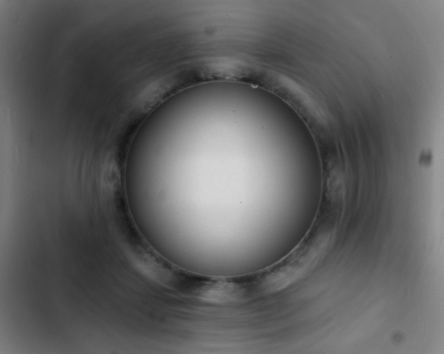 X0000103300459200808291409