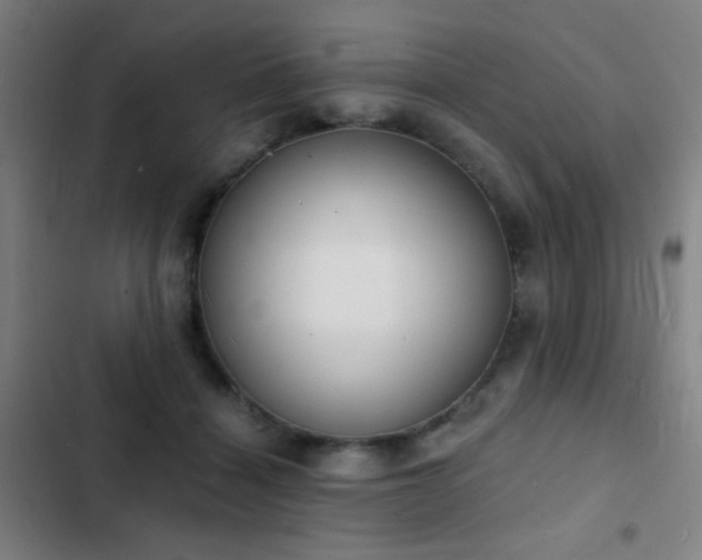 X0000103300460200808291409