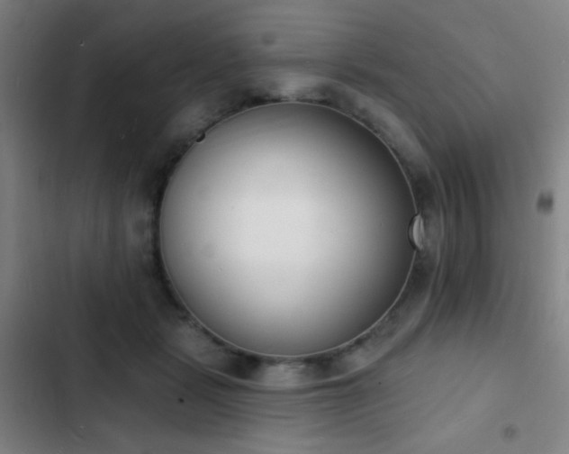 X0000103300461200808291409