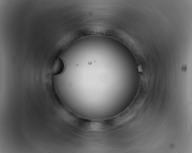 X0000103300462200808291409