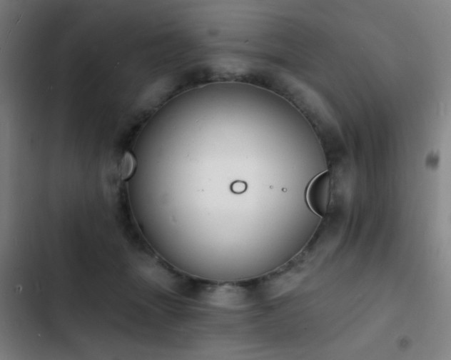 X0000103300463200808291409