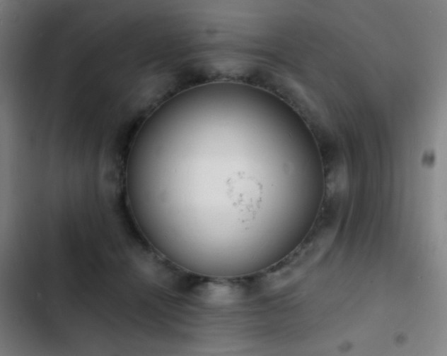 X0000103300464200808291409