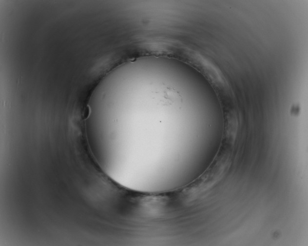 X0000103300465200808291409