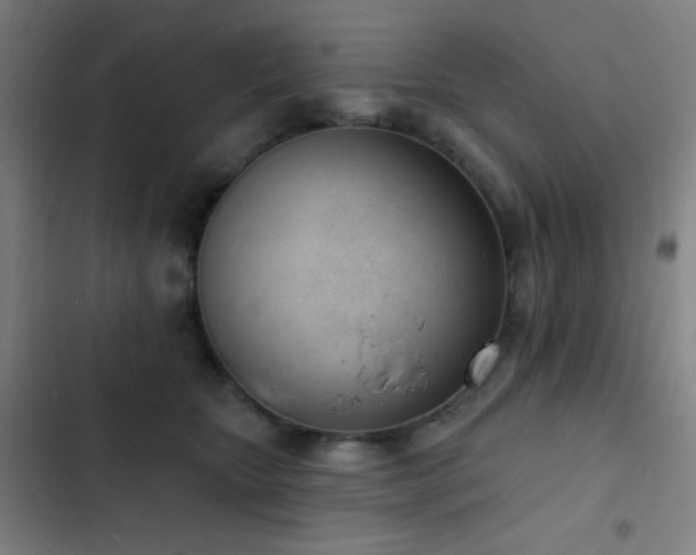 X0000103300467200808291409
