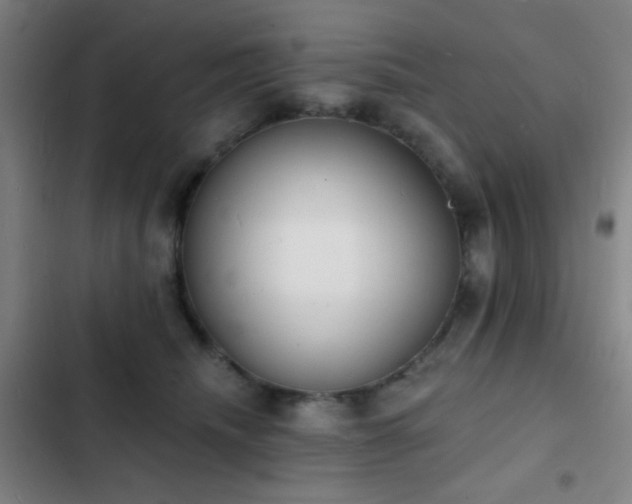 X0000103300468200808291409