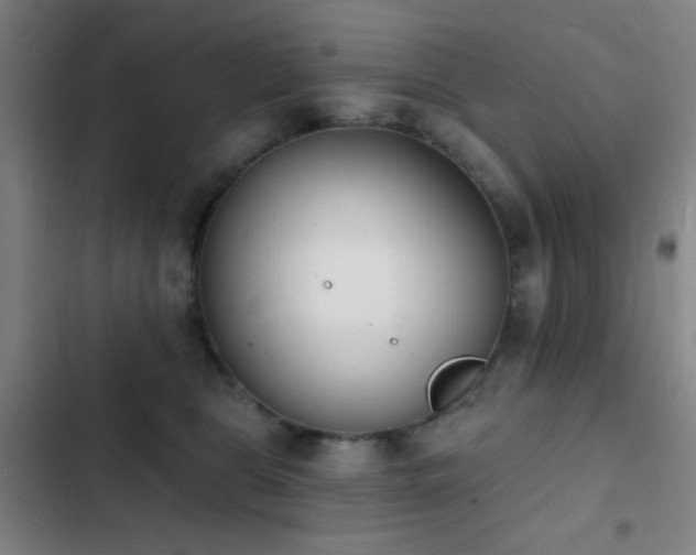 X0000103300469200808291409