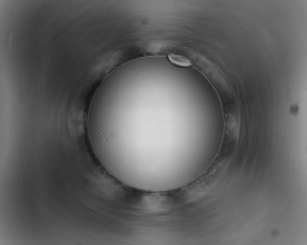 X0000103300470200808291409