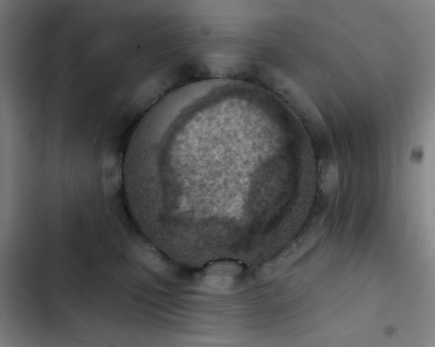 X0000103300471200808291409