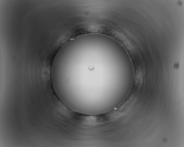 X0000103300473200808291409
