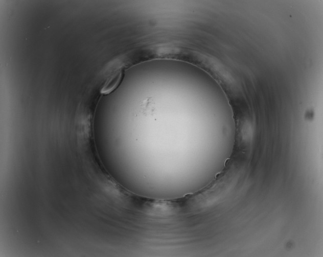 X0000103300475200808291409