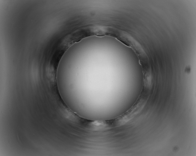 X0000103300477200808291409