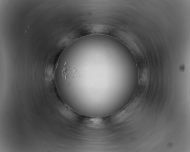 X0000103300478200808291409