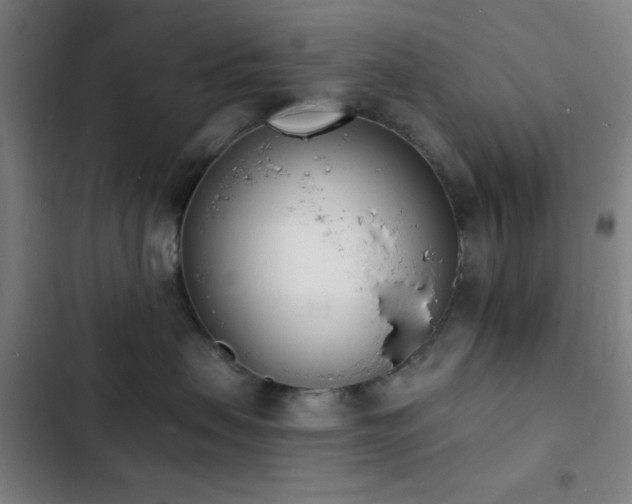 X0000103300479200808291409