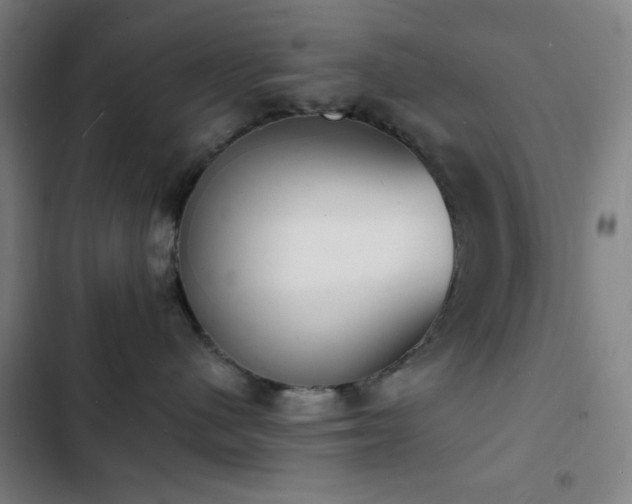 X0000103300480200808291409