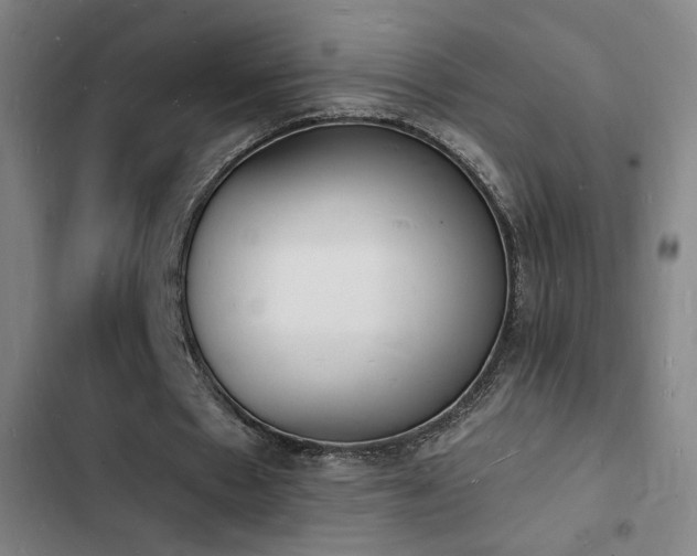 X0000103300481200808291409
