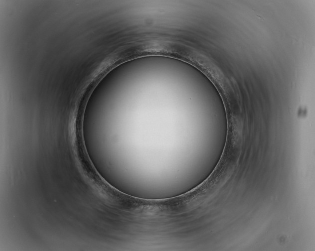X0000103300482200808291409