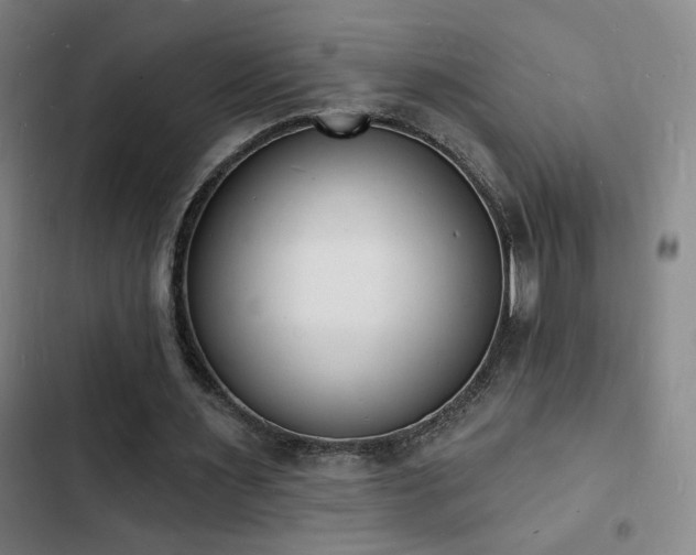 X0000103300483200808291409
