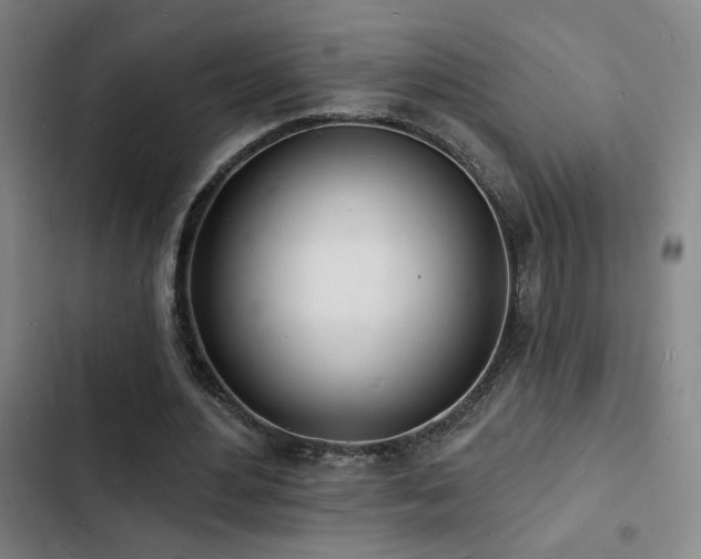 X0000103300484200808291409