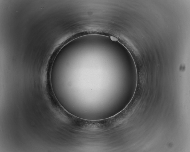 X0000103300488200808291409