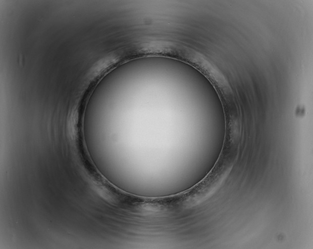 X0000103300490200808291409